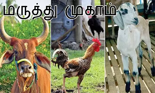 கால்நடை மருத்துவ முகாம்