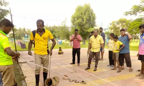 பூங்காவில் கிடந்த மீன் வலையில் சிக்கி தவித்த 5 அடி நல்ல பாம்பு