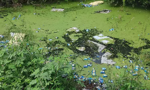 மீஞ்சூர் அருகே கால்வாய் தண்ணீரில் மூட்டை மூட்டையாக வீசப்பட்ட ரஸ்க் பாக்கெட்டுகள்