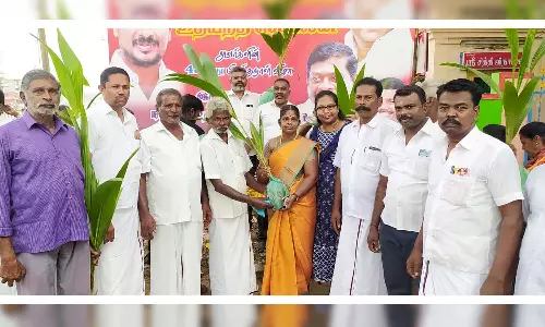 பொதுமக்களுக்கு மரக்கன்றுகள்