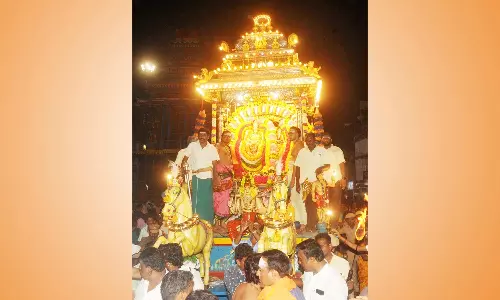 அருணாசலேஸ்வரர் கோவிலில் பூத வாகனத்தில் சாமி வீதி உலா