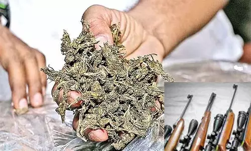 வீட்டில் பதுக்கிய 3 நாட்டு துப்பாக்கி, கஞ்சா பறிமுதல்