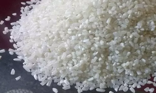 ஆர்கானிக் அரிசி, குருணை அரிசி ஏற்றுமதிக்கான தடை நீக்கம்- மத்திய அரசு நடவடிக்கை