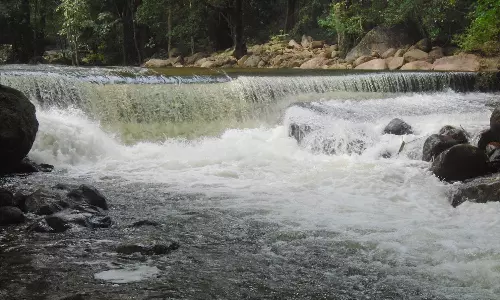 களக்காடு தலையணையில் தண்ணீர் வரத்து அதிகரிப்பு- சுற்றுலா பயணிகள் குளிக்க தடை