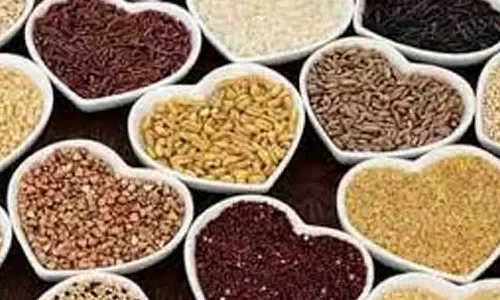 மலைவாழ் மக்கள் வாழ்வாதாரம் மேம்பட - சிறு தானிய சாகுபடி சிறப்பு திட்டம் மீண்டும் செயல்படுத்தப்படுமா?