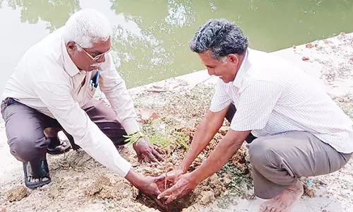 மரக்கன்று நடும் விழா