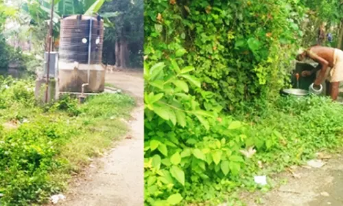 குடிநீர் குழாய் அருகே மண்டியுள்ள புதர்கள்