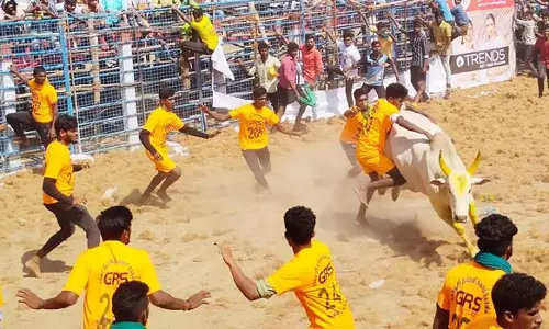 ஜல்லிக்கட்டு போட்டியில் விதிமீறல் நடைபெறவில்லை- சுப்ரீம் கோர்ட்டு நீதிபதிகள் கருத்து