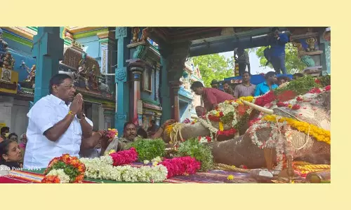 யானை மரணம் குறித்து விசாரணை -நாராயணசாமி வலியுறுத்தல்