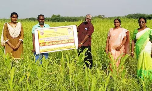 வேளாண் திட்டப்பணிகளை இணை இயக்குநர் ஆய்வு