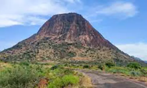 வள்ளியூர் சூட்டுபொத்தையில்  ஸ்ரீ முத்துகிருஷ்ண சுவாமி  109-வது குருபூஜை தொடக்கம்