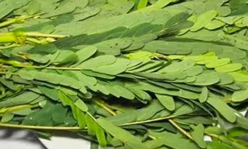 பத்தியம் ஏன்?