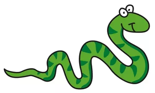 டாஸ்மாக் கடைக்குள் புகுந்த பாம்பு- மது பிரியர்கள் அலறியடித்து ஓட்டம்