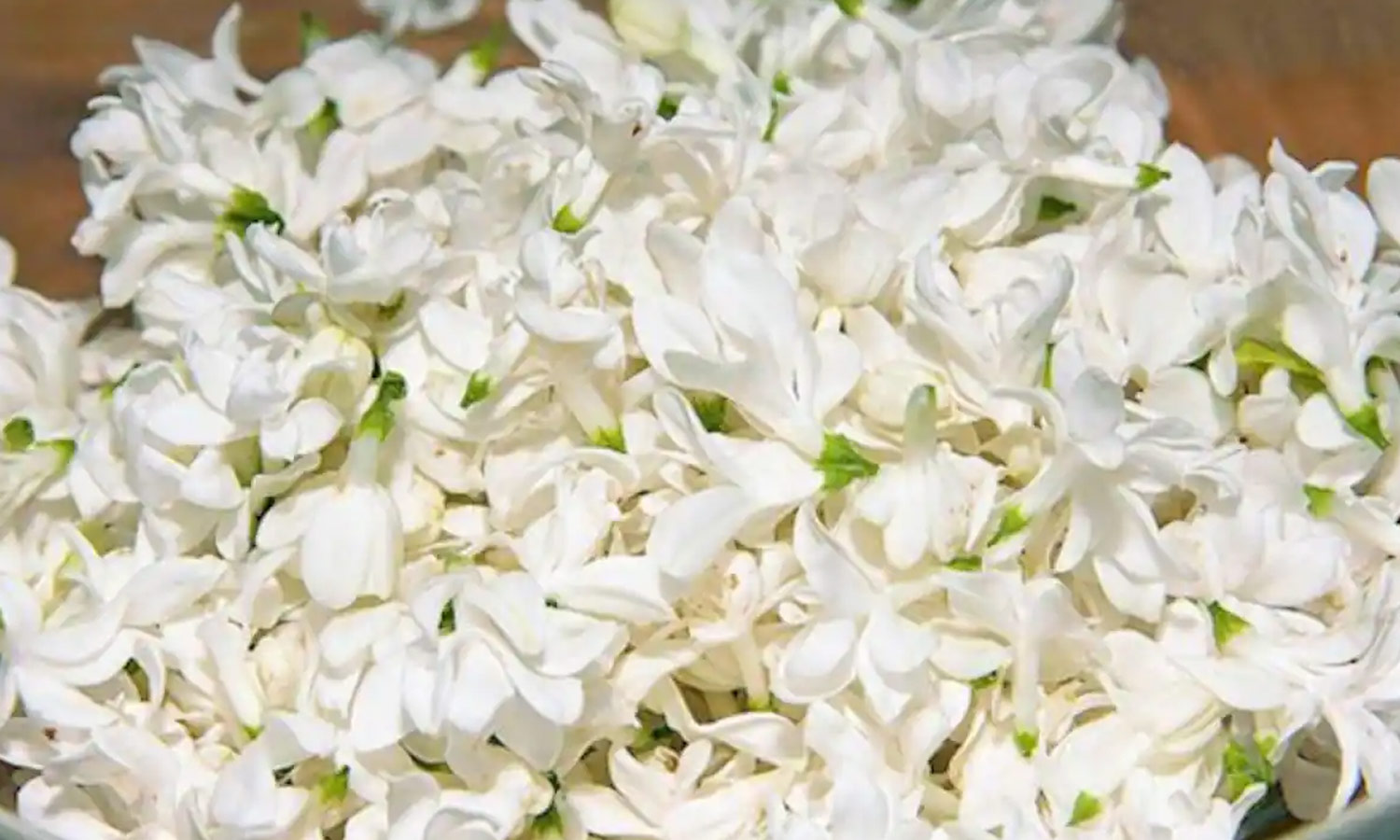 கோவை பூ மார்க்கெட்டில் மல்லிகைப்பூ விலை கிடுகிடு உயர்வு jasmine