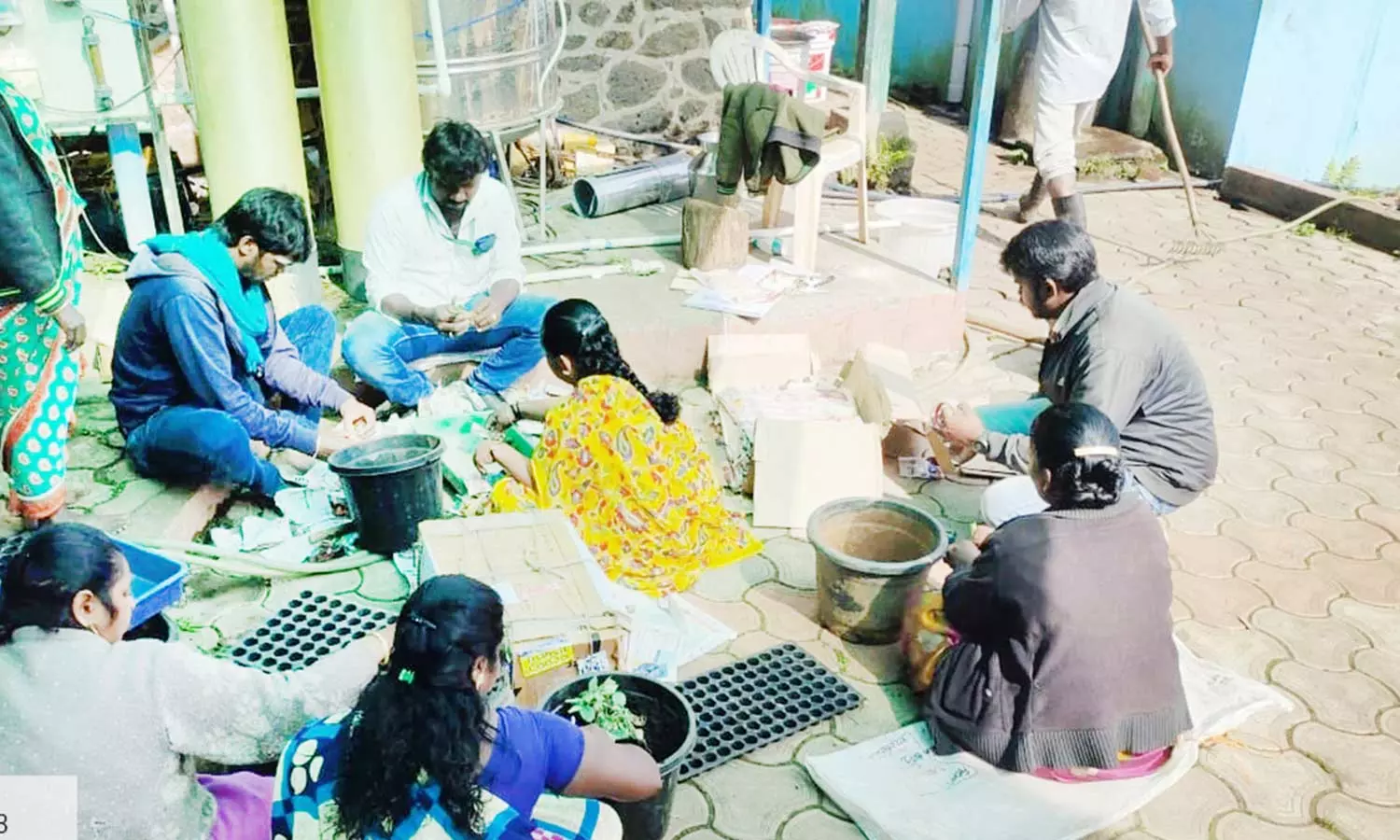 கொடைக்கானல் பிரையண்ட் பூங்காவில் மலர்கண்காட்சிக்காக 5000 டேலியா ரக நாற்றுகள் நடவு கொடைக்கானல் பிரையண்ட் பூங்காவில் மலர்கண்காட்சிக்காக 5000 டேலியா ரக நாற்றுகள் நடவு