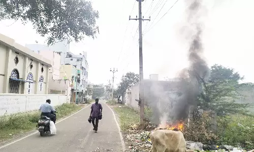 திண்டுக்கல் ரவுண்டுரோடு பகுதியில் குப்பையில் தீ வைத்து எரிப்பதால் சுகாதார சீர்கேடு