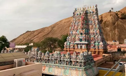 திருப்பரங்குன்றம் மலையில் மகாதீபம் ஏற்ற பக்தர்கள் நெய் காணிக்கை செலுத்தலாம்