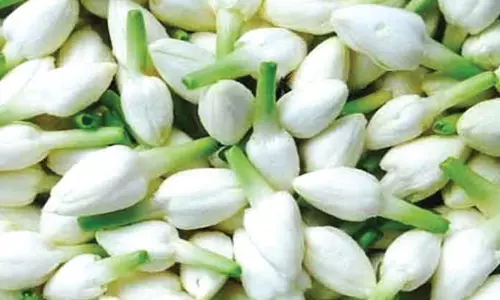 சேலம் பூ மார்க்கெட்டில் மல்லிகை பூ ஒரு கிலோ 1600 ரூபாயாக உயர்வு