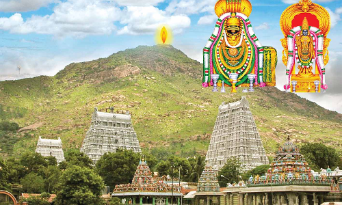 கார்த்திகை தீப திருவிழாவையொட்டி நெல்லையில் இருந்து திருவண்ணாமலைக்கு பஸ்கள் இயக்கம்