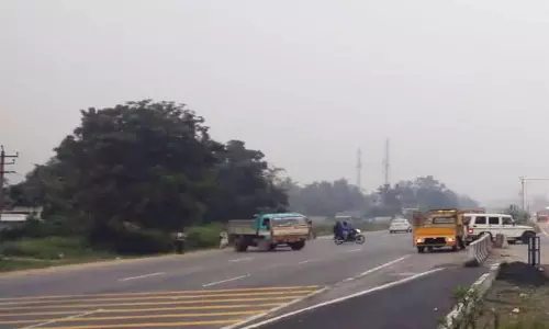 ராணிப்பேட்டையில் திடீர் மழை, கொட்டும் பனியால் பொதுமக்கள் அவதி