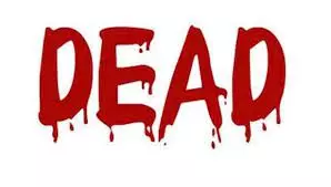 லாரி மோதி வாலிபர் பலி