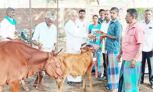 கால்நடை சுகாதார விழிப்புணர்வு முகாம்