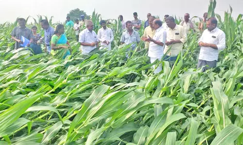 அரசியல் காழ்ப்புணர்ச்சி பார்க்காமல் குடிமராமத்து போன்ற நல்ல திட்டங்களை அரசு தொடர வேண்டும் - கடம்பூர் ராஜூ எம்.எல்.ஏ. பேட்டி