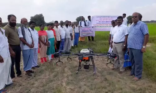 நெற் பயிர்களில் ட்ரோன் மூலம் உயிர் உரம் தெளிப்பு