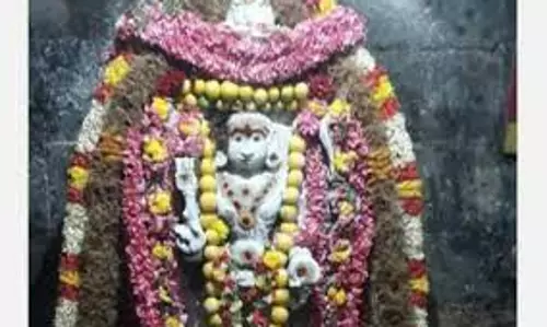 வளர்பிறை அஷ்டமி பைரவருக்கு சிறப்பு வழிபாடு