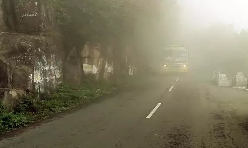 ஏலகிரி மலையில் கடும் பனிப்பொழிவு