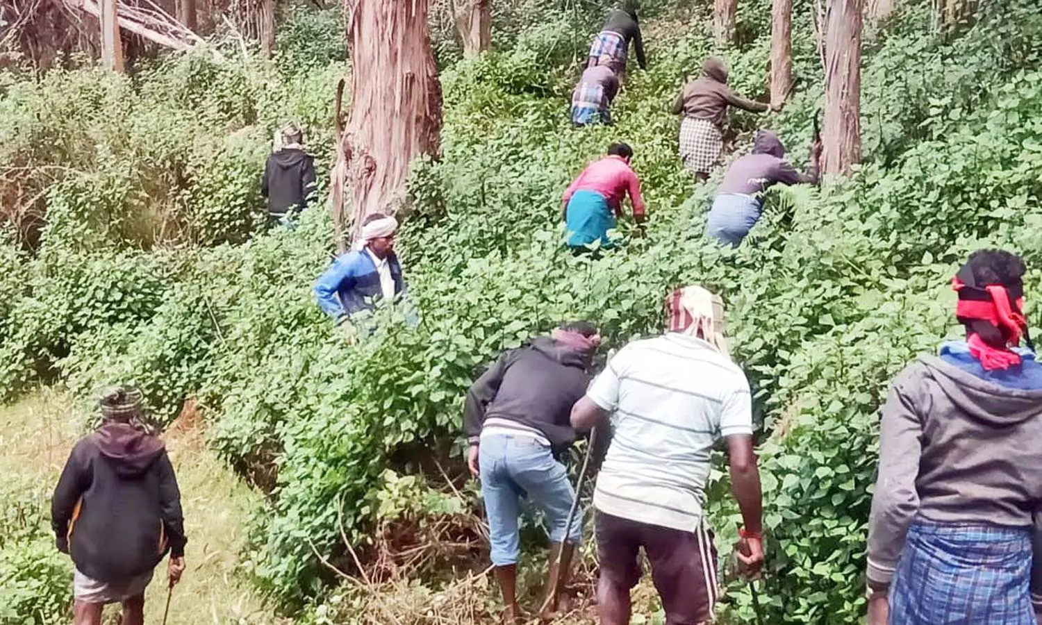 எழும்பள்ளம் ஏரி பராமரிப்பு பணிகளுக்கு வனத்துறை அனுமதி எழும்பள்ளம் ஏரி பராமரிப்பு பணிகளுக்கு வனத்துறை அனுமதி