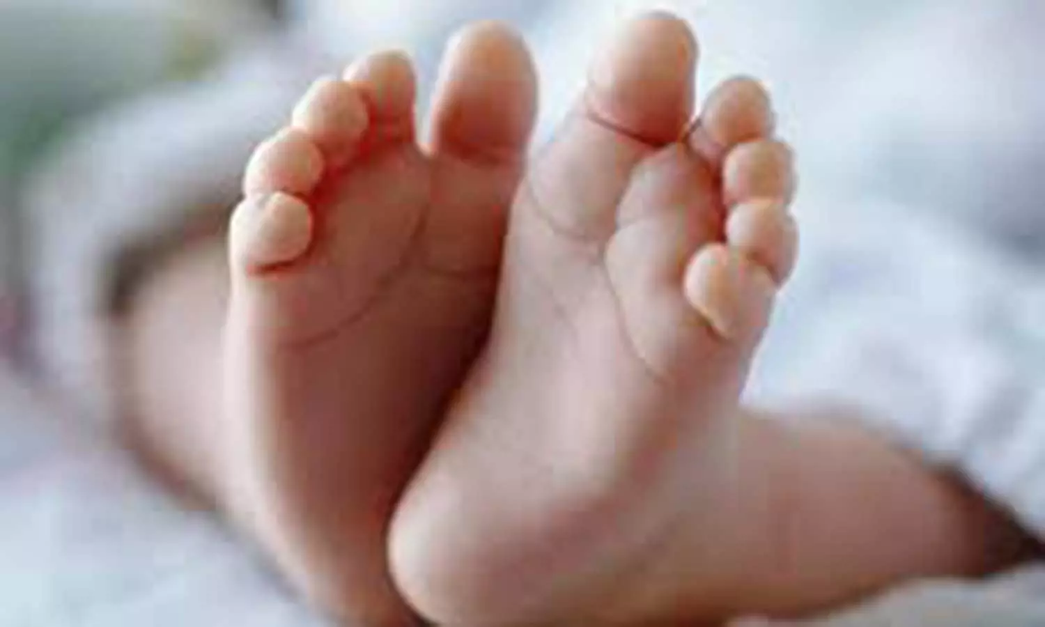 திண்டுக்கல் அரசு ஆஸ்பத்திரியில் இறந்து பிறந்த குழந்தையை குப்பையில் வீசிச்சென்ற தாய் திண்டுக்கல் அரசு ஆஸ்பத்திரியில் இறந்து பிறந்த குழந்தையை குப்பையில் வீசிச்சென்ற தாய்