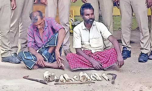 போடியில் சந்தன மரக்கட்டைகள் கடத்தல் 2 பேர் கைது