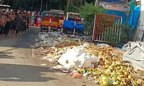 பழனியில் பிளாஸ்டிக் பயன்பாடு அதிகரிப்பு தெருவோரம் குப்பைகளை வீசுவதால் பக்தர்கள் முகம்சுழிப்பு