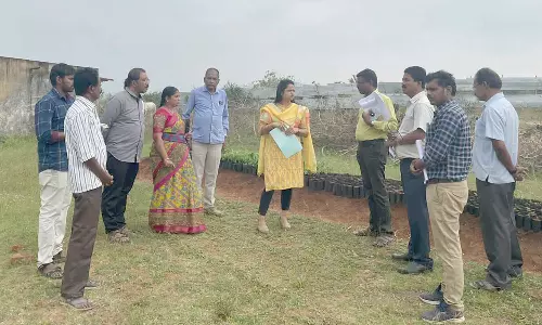 தளி ஒன்றியத்தில்  வளர்ச்சி பணிகளை ஆய்வு செய்த கூடுதல் கலெக்டர்