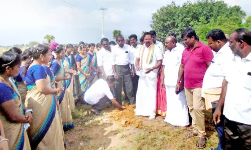களக்காட்டில் பனை  மர விதைகள் நடும் பணி- ரூபி மனோகரன் எம்.எல்.ஏ. தொடங்கி வைத்தார்