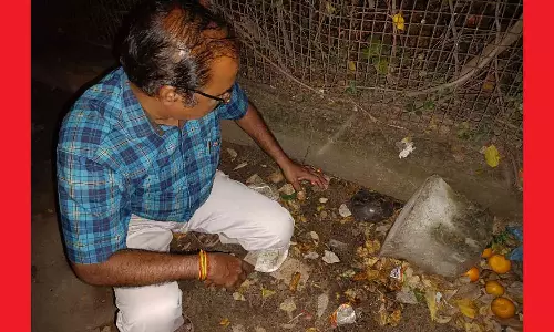 ரோட்டில் திரிந்த ஆமையை மீட்டு வனத்துறையிடம் ஒப்படைப்பு