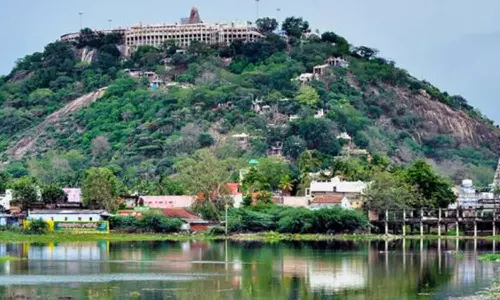 கார்த்திகை தீபத்திருவிழாவையொட்டி பழனி மலைக்கோவிலுக்கு செல்ல ஒருவழிப்பாதை