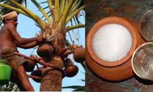 தமிழகம் முழுவதும் ஜனவரி மாதம் 21-ந் தேதி முதல் கள் இறக்கி சந்தைப்படுத்தப்படும் -  நல்லசாமி  தகவல்