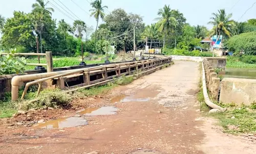 நாசரேத் அருகே கடையனோடை பாலத்தை சீரமைக்க வேண்டும்- பொது மக்கள் கோரிக்கை