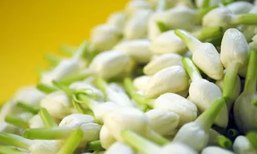 கோயம்பேட்டில் மல்லி பூ 1 கிலோ ரூ.2 ஆயிரத்துக்கு விற்பனை