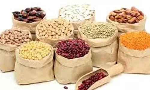 முத்தூா் ஒழுங்குமுறை விற்பனைக்கூடத்தில் 6.70 டன் வேளாண் விளைபொருட்கள்   விற்பனை