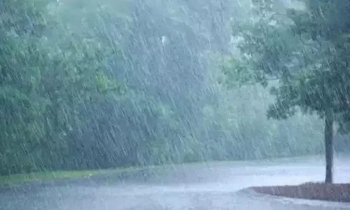 சேலம், நாமக்கல் மாவட்டங்களில் பரவலாக மழை