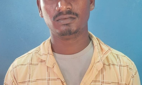 ஆடு திருடிய வாலிபர் கைது