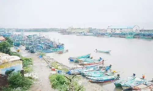 நாகை மாவட்டத்தில் 50 ஆயிரம் மீனவர்கள் கடலுக்கு செல்லவில்லை- படகுகள் துறைமுகத்தில் நிறுத்தி வைப்பு