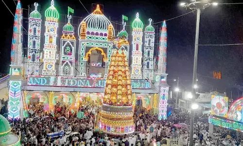 ஜாம்புவானோடை தர்ஹாவில் சந்தனக்கூடு விழா