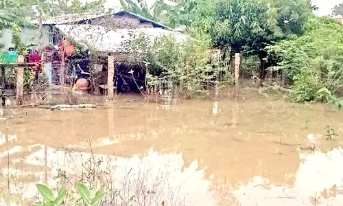 குடியிருப்புகளை சுற்றி தேங்கி நிற்கும் மழை நீரால் பொதுமக்கள் அவதி