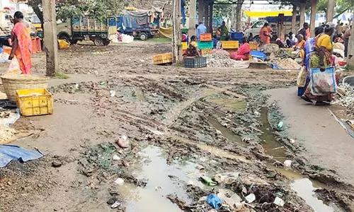 கடலூர் காராமணிகுப்பத்தில் சேறும் சகதியுமாக காணப்படும் கருவாட்டு சந்தை