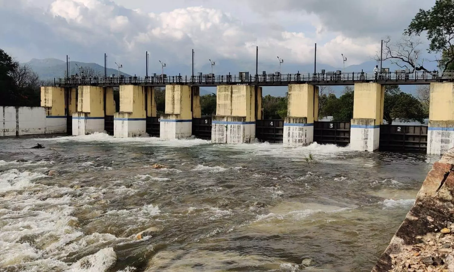 திற்பரப்பில் குளிக்க முடியாமல் சுற்றுலா பயணிகள் ஏமாற்றம்- அணைகளின் நீர்மட்டம் 24 மணி நேரமும் கண்காணிப்பு திற்பரப்பில் குளிக்க முடியாமல் சுற்றுலா பயணிகள் ஏமாற்றம்- அணைகளின் நீர்மட்டம் 24 மணி நேரமும் கண்காணிப்பு