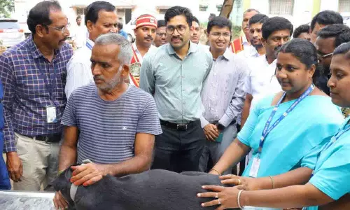 செல்லப்பிராணிகளுக்கான வெறிநோய் தடுப்பூசி முகாம்